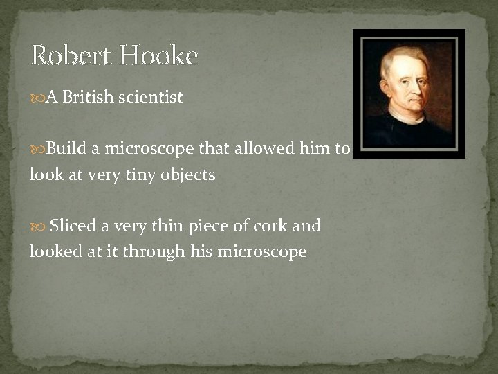 Robert Hooke A British scientist Build a microscope that allowed him to look at