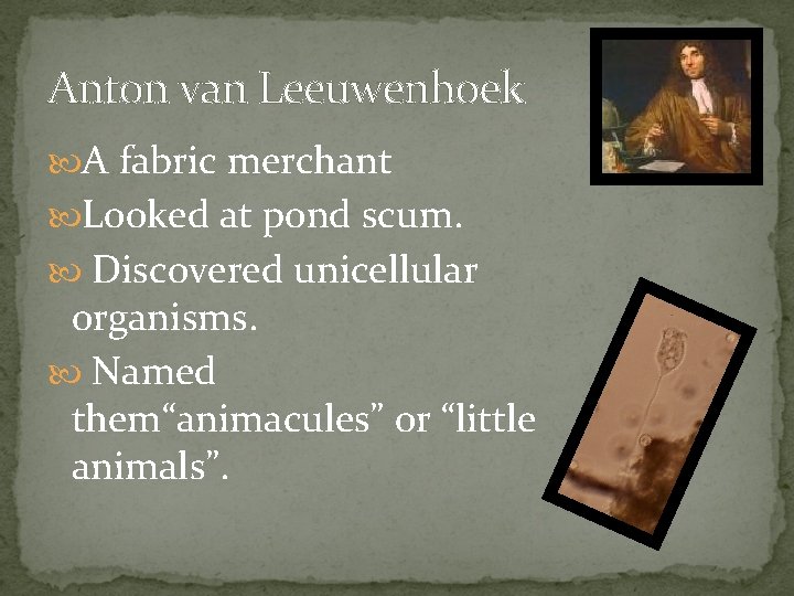 Anton van Leeuwenhoek A fabric merchant Looked at pond scum. Discovered unicellular organisms. Named