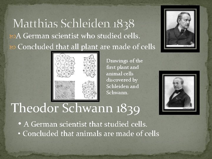 Matthias Schleiden 1838 A German scientist who studied cells. Concluded that all plant are