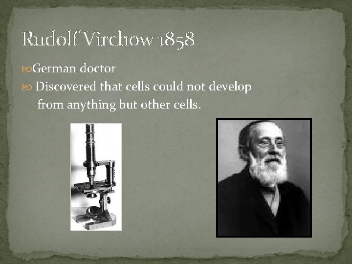 Rudolf Virchow 1858 German doctor Discovered that cells could not develop from anything but