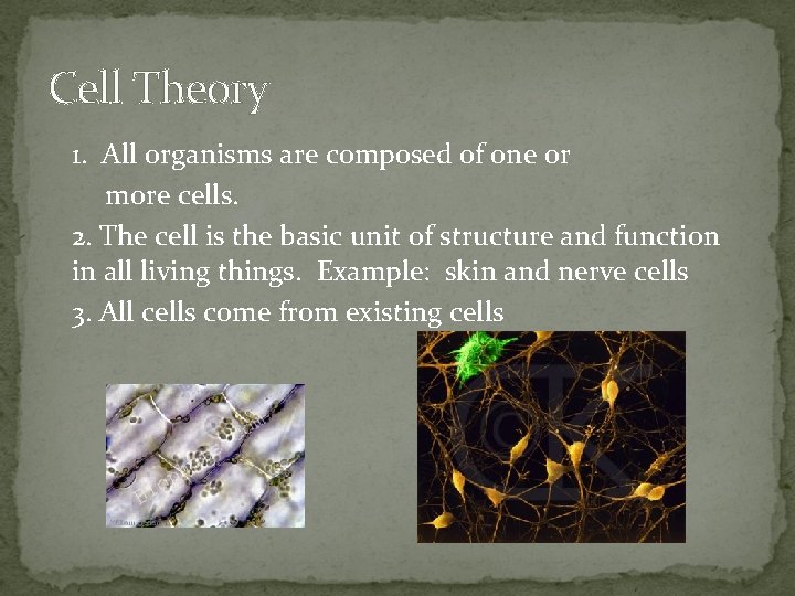 Cell Theory 1. All organisms are composed of one or more cells. 2. The