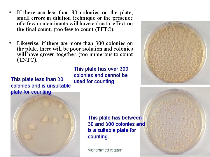  • If there are less than 30 colonies on the plate, small errors