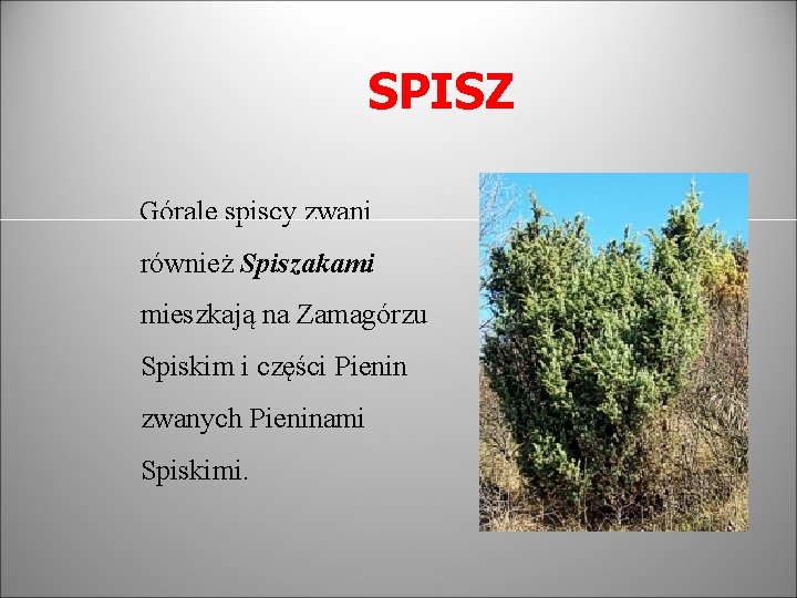 SPISZ Górale spiscy zwani również Spiszakami mieszkają na Zamagórzu Spiskim i części Pienin zwanych