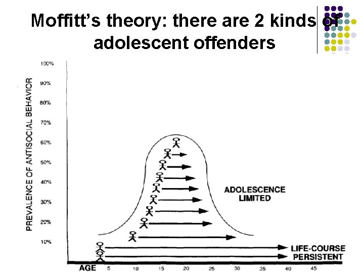 Moffitt’s theory: there are 2 kinds of adolescent offenders 