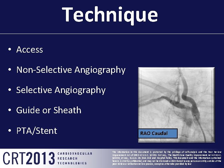 Technique • Access • Non-Selective Angiography • Guide or Sheath • PTA/Stent RAO Caudal