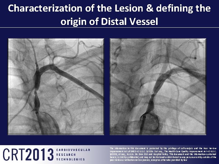 Characterization of the Lesion & defining the origin of Distal Vessel The information in