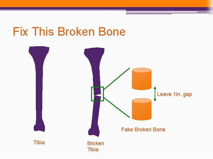 Fix This Broken Bone Leave 1 in. gap Fake Broken Bone Tibia Broken Tibia Fix This Broken Bone Leave 1 in. gap Fake Broken Bone Tibia Broken Tibia