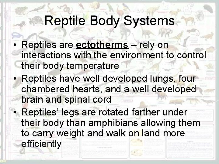 Reptile Body Systems • Reptiles are ectotherms – rely on interactions with the environment