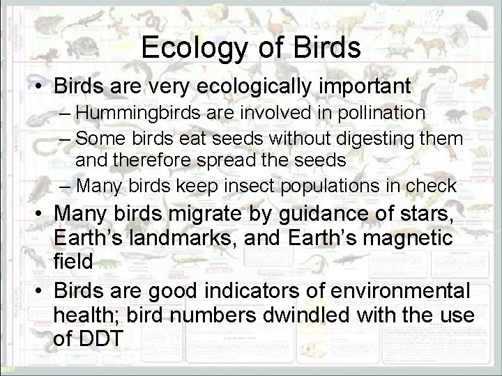 Ecology of Birds • Birds are very ecologically important – Hummingbirds are involved in