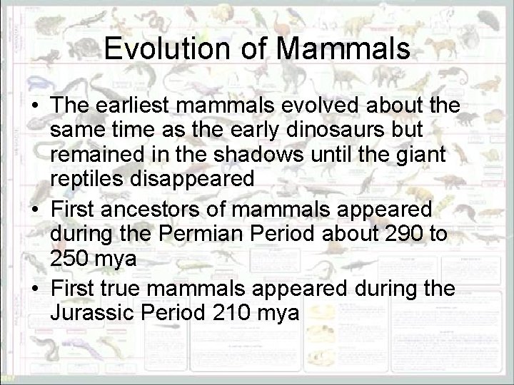 Evolution of Mammals • The earliest mammals evolved about the same time as the