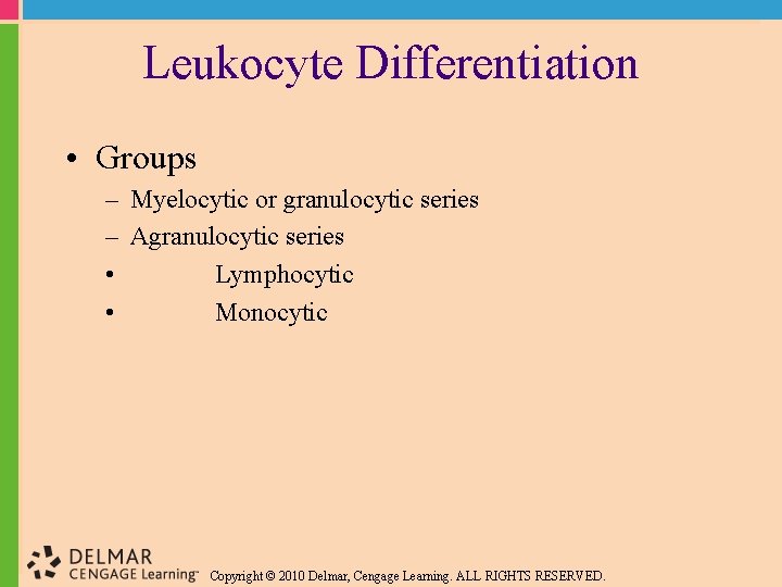 Leukocyte Differentiation • Groups – Myelocytic or granulocytic series – Agranulocytic series • Lymphocytic