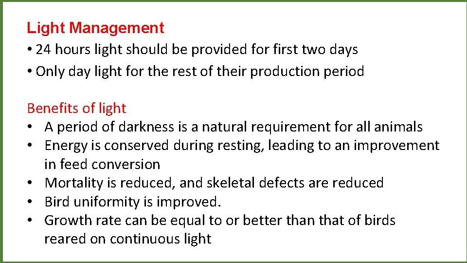 Light Management • 24 hours light should be provided for first two days •