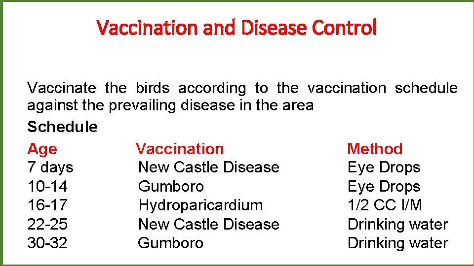 Vaccination and Disease Control Vaccinate the birds according to the vaccination schedule against the