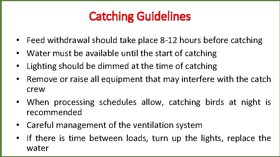 Catching Guidelines Feed withdrawal should take place 8 -12 hours before catching Water must