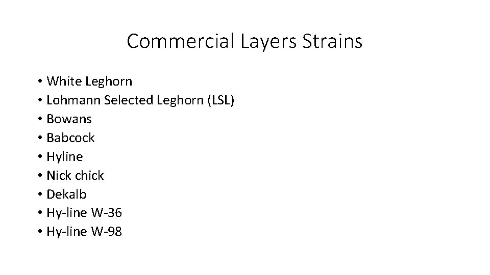Commercial Layers Strains • White Leghorn • Lohmann Selected Leghorn (LSL) • Bowans •