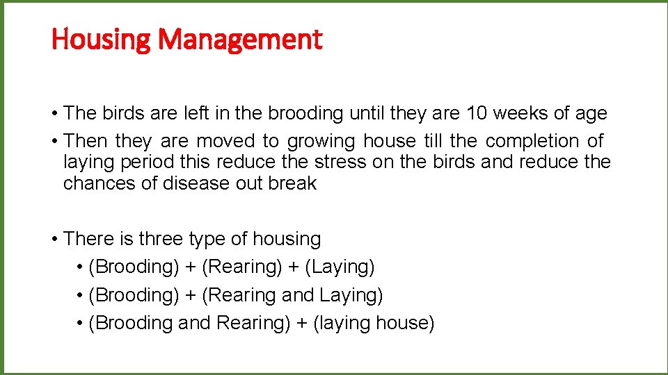 Housing Management • The birds are left in the brooding until they are 10