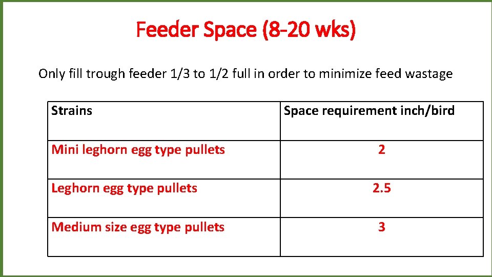 Feeder Space (8 -20 wks) Only fill trough feeder 1/3 to 1/2 full in