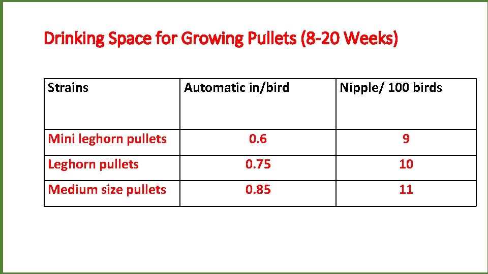 Drinking Space for Growing Pullets (8 -20 Weeks) Strains Automatic in/bird Nipple/ 100 birds
