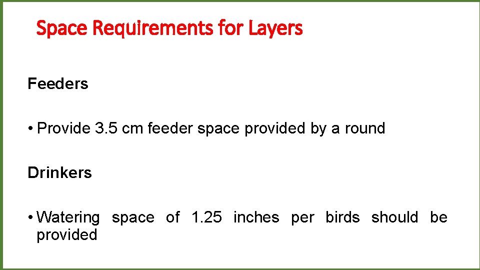 Space Requirements for Layers Feeders • Provide 3. 5 cm feeder space provided by