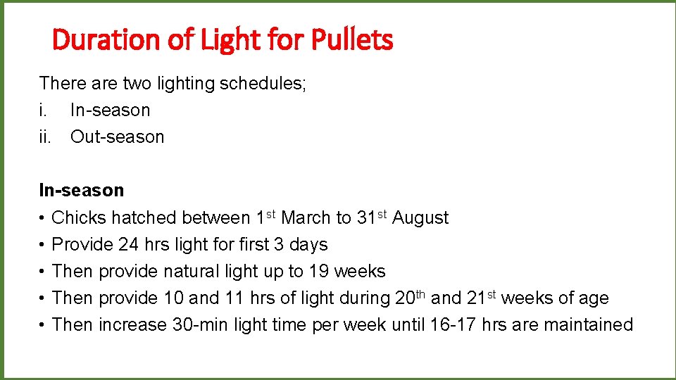 Duration of Light for Pullets There are two lighting schedules; i. In-season ii. Out-season