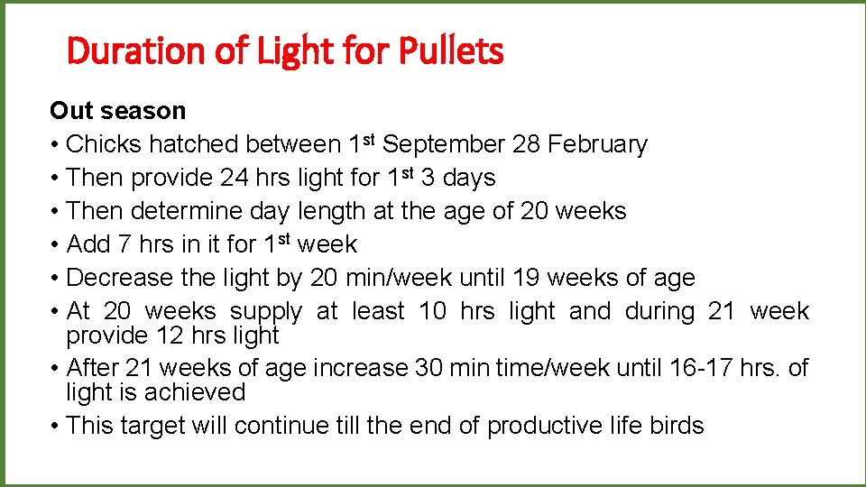 Duration of Light for Pullets Out season • Chicks hatched between 1 st September