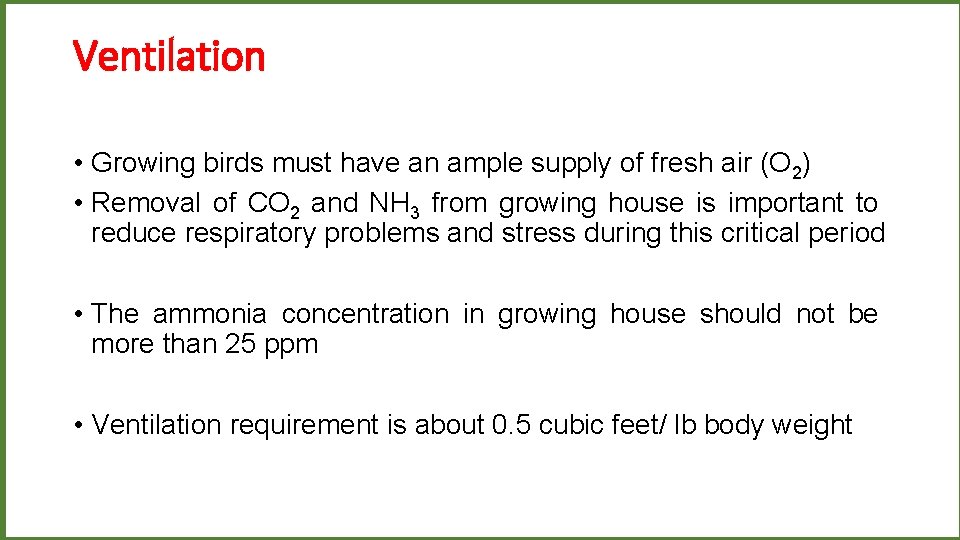 Ventilation • Growing birds must have an ample supply of fresh air (O 2)