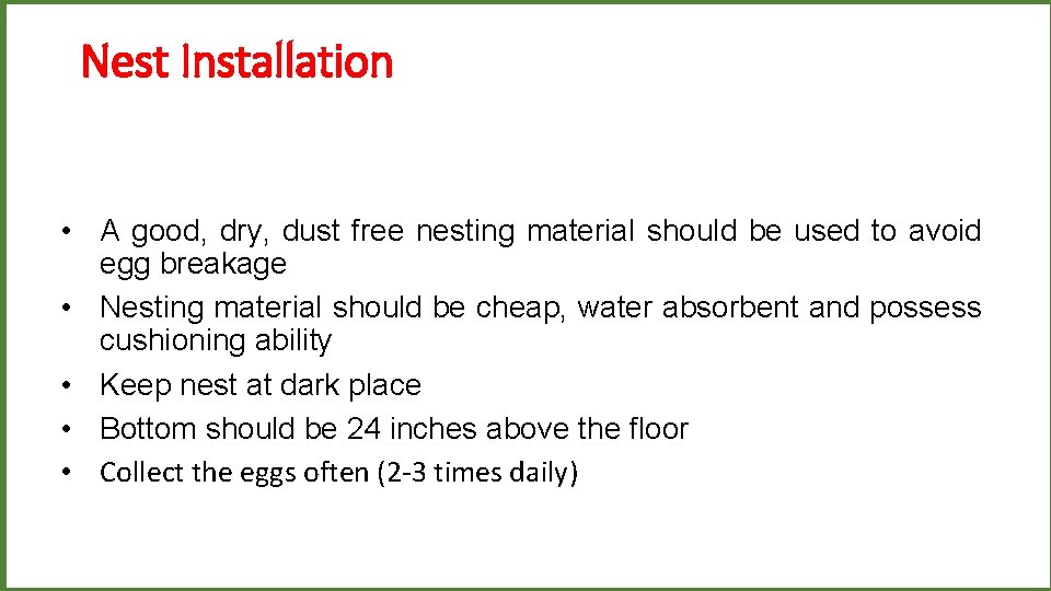 Nest Installation • A good, dry, dust free nesting material should be used to