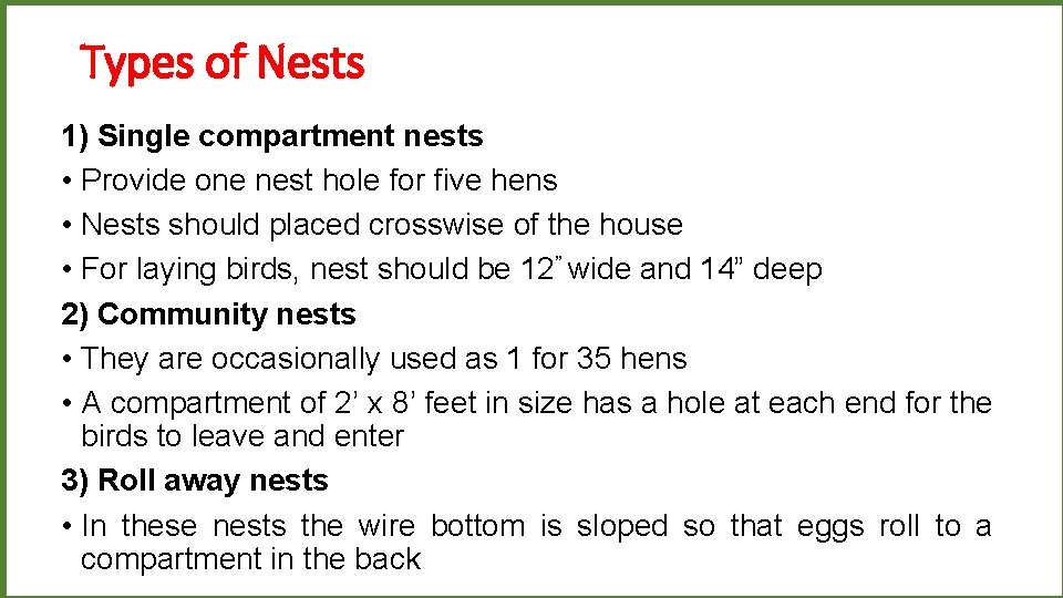 Types of Nests 1) Single compartment nests • Provide one nest hole for five