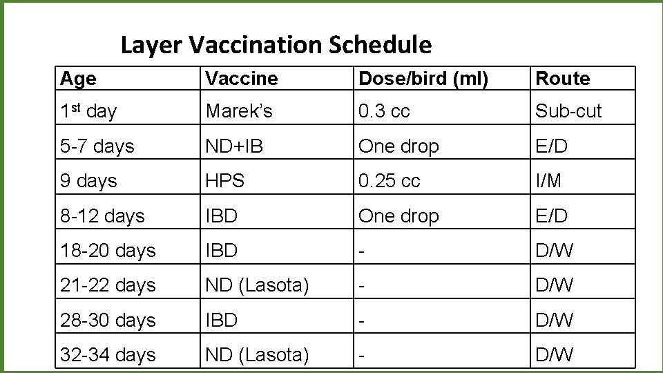 Layer Vaccination Schedule Age Vaccine Dose/bird (ml) Route 1 st day Marek’s 0. 3