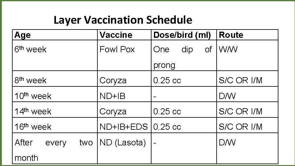 Layer Vaccination Schedule Age Vaccine Dose/bird (ml) Route 6 th week Fowl Pox One