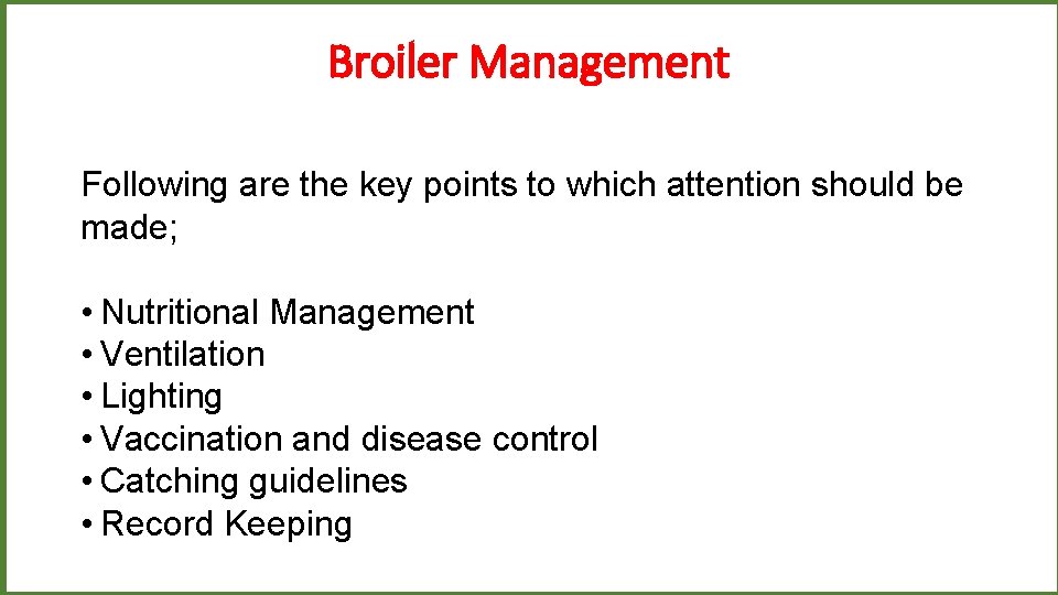 Broiler Management Following are the key points to which attention should be made; •