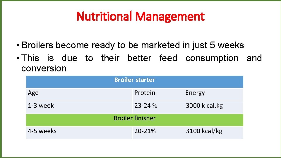 Nutritional Management • Broilers become ready to be marketed in just 5 weeks •
