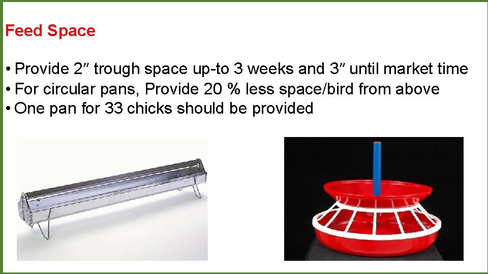 Feed Space • Provide 2ʺ trough space up-to 3 weeks and 3ʺ until market