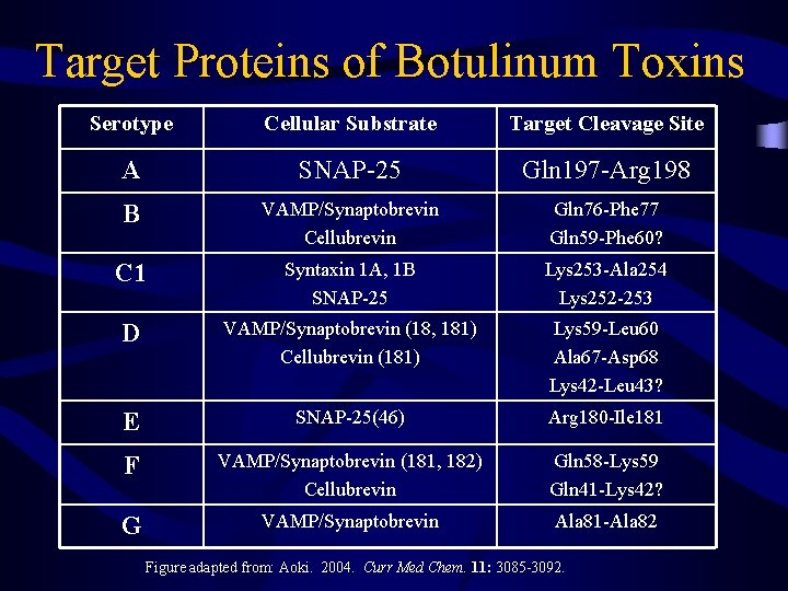 Target Proteins of Botulinum Toxins Serotype Cellular Substrate Target Cleavage Site A SNAP-25 Gln