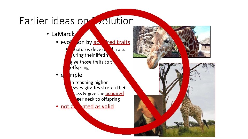 Earlier ideas on Evolution • La. Marck • evolution by acquired traits • creatures