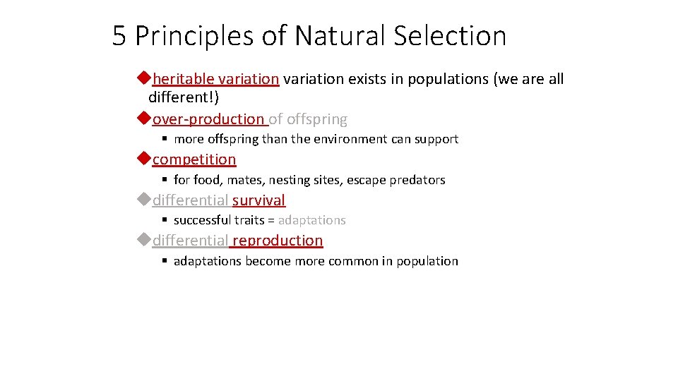 5 Principles of Natural Selection uheritable variation exists in populations (we are all different!)