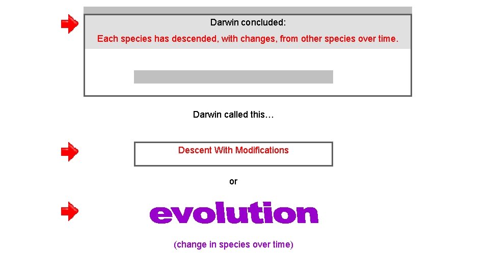 Darwin concluded: Each species has descended, with changes, from other species over time. Darwin