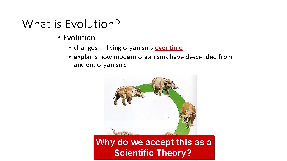 What is Evolution? • Evolution • changes in living organisms over time • explains