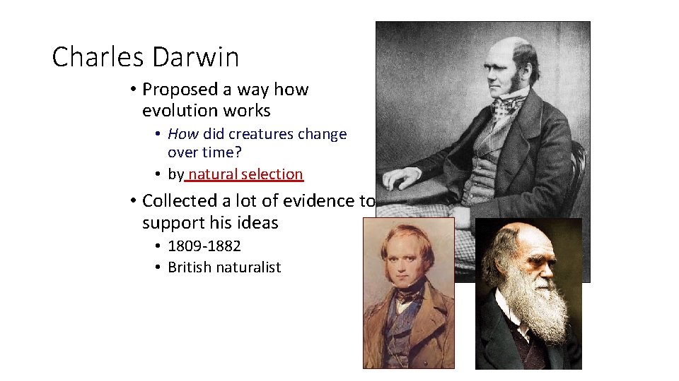 Charles Darwin • Proposed a way how evolution works • How did creatures change