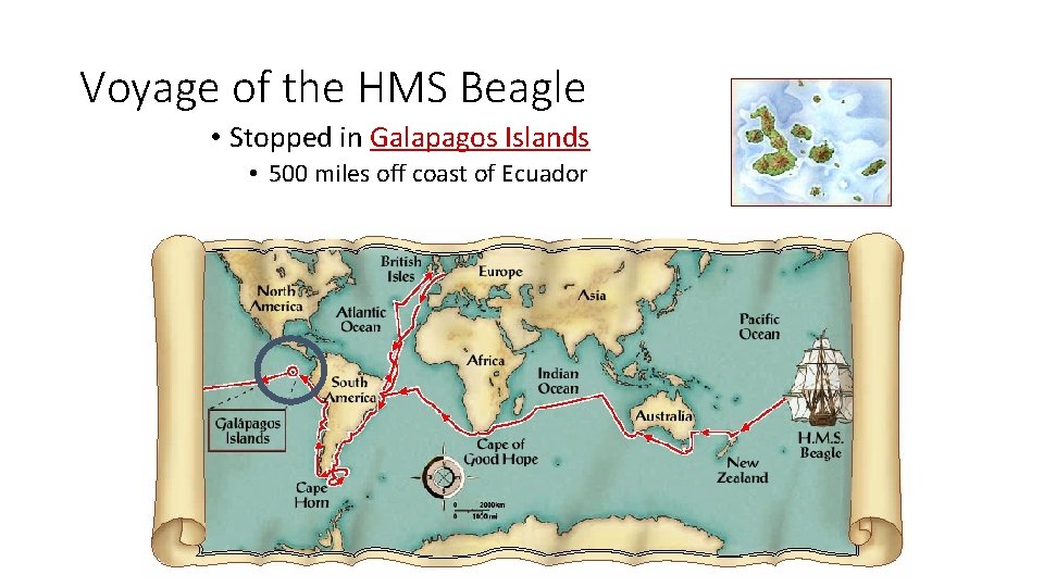 Voyage of the HMS Beagle • Stopped in Galapagos Islands • 500 miles off