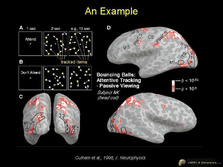 An Example Culham et al. , 1998, J. Neurophysiol. 