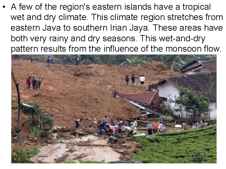  • A few of the region's eastern islands have a tropical wet and