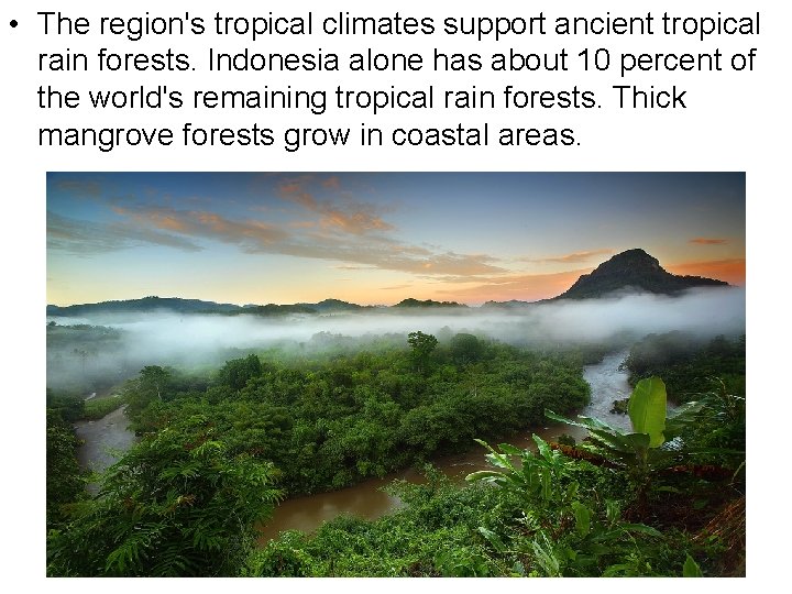  • The region's tropical climates support ancient tropical rain forests. Indonesia alone has