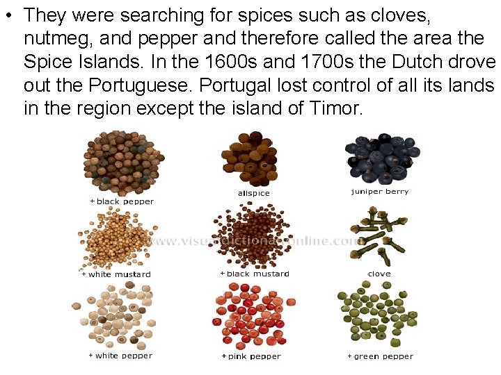  • They were searching for spices such as cloves, nutmeg, and pepper and