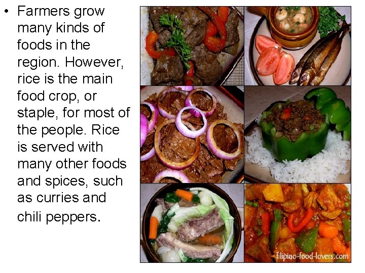  • Farmers grow many kinds of foods in the region. However, rice is