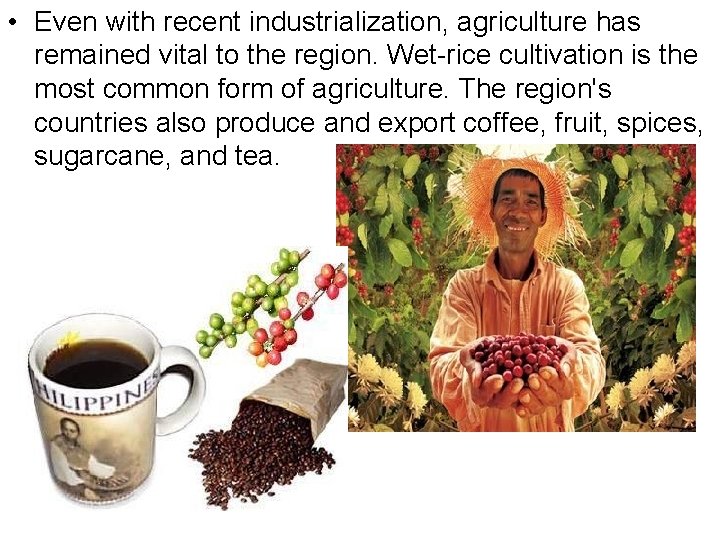  • Even with recent industrialization, agriculture has remained vital to the region. Wet-rice