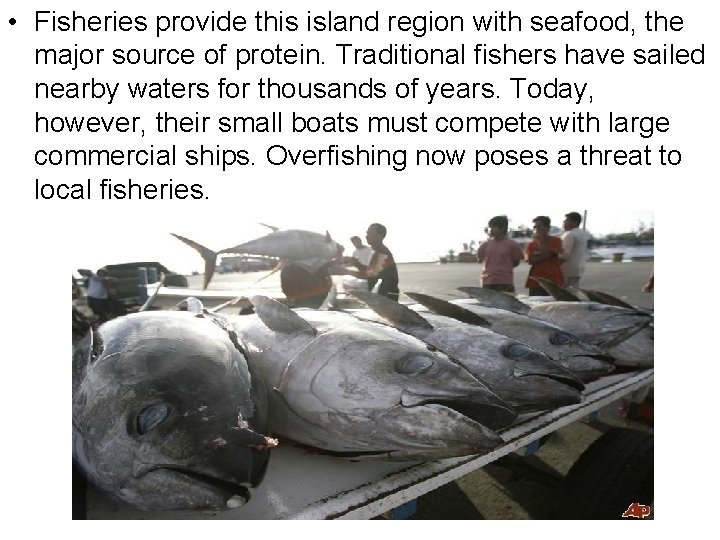  • Fisheries provide this island region with seafood, the major source of protein.