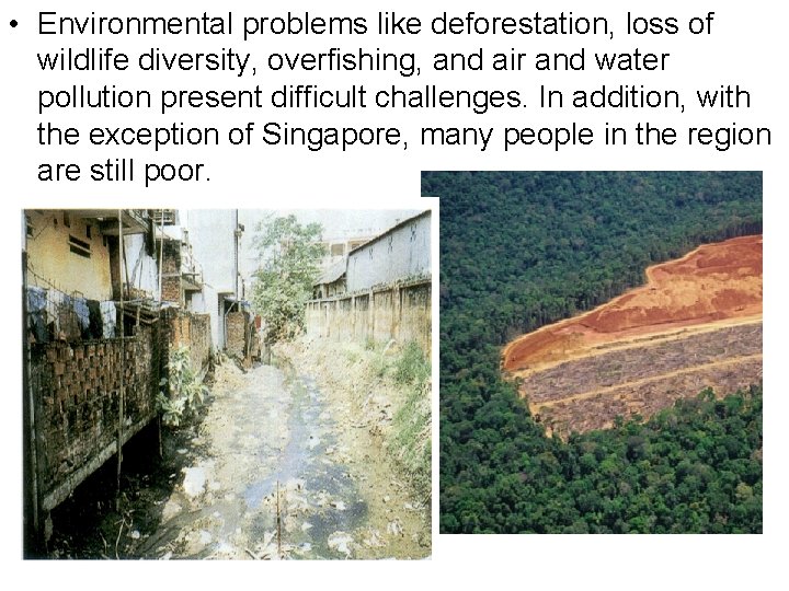  • Environmental problems like deforestation, loss of wildlife diversity, overfishing, and air and
