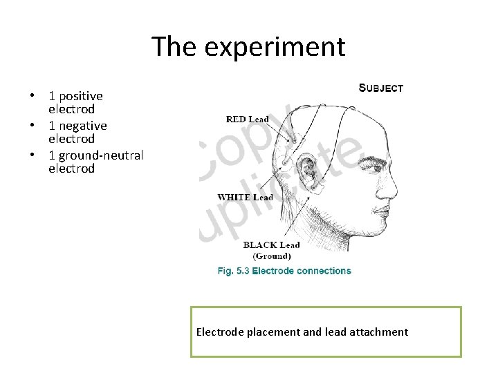The experiment • 1 positive electrod • 1 negative electrod • 1 ground-neutral electrod