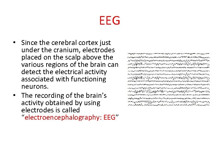 EEG • Since the cerebral cortex just under the cranium, electrodes placed on the